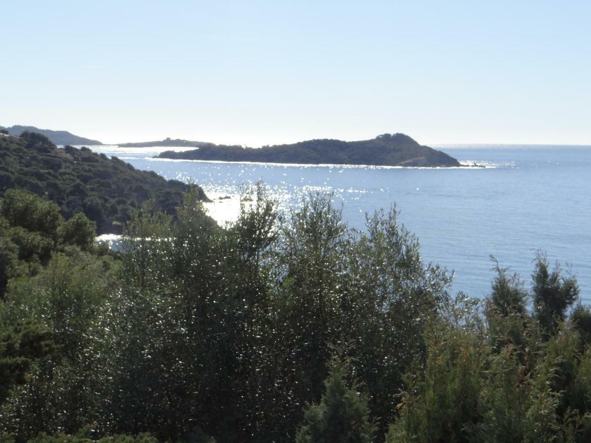 Appartement Vue Mer, Presqu'Il De Giens Hyères Zewnętrze zdjęcie